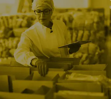 Soluciones de adhesión para sellado y formado de cajas de cartón
